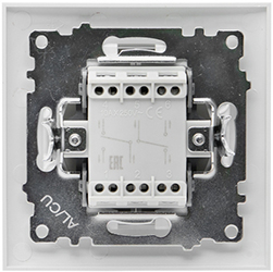 переключатель 2-клавишный EKF EWV10-027-10 "Валенсия" - вид с тыльной стороны