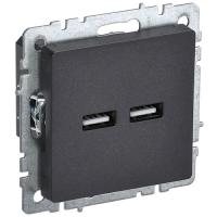 купить Брайт черный розетка USB A+A скрытая 2-ая  в Чебоксарах Брайт черный розетка USB A+A скрытая 2-ая