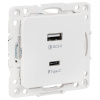 купить Стокгольм белый розетка USB type-A+type-C скрытая 2-ая  в Чебоксарах Стокгольм белый розетка USB type-A+type-C скрытая 2-ая