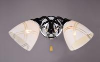 РС20143 BK+CR-2W РС20143 BK+CR-2W