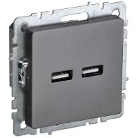 купить Брайт сталь розетка USB A+A скрытая 2-ая  в Чебоксарах Брайт сталь розетка USB A+A скрытая 2-ая