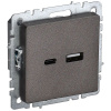 купить Брайт бронза розетка USB A+C скрытая 2-ая  в Чебоксарах Брайт бронза розетка USB A+C скрытая 2-ая