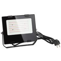 Фито прожектор свд 50Вт 1370К красно-синий IP65 ЭРА цветение и плодоношение