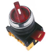 купить Переключатель АNС-22-2 2пол. красный с подсветкой IP40 IEK  в Чебоксарах Переключатель АNС-22-2 2пол. красный с подсветкой IP40 IEK