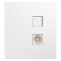 купить MIELE STRONG Розетка компьютерная RJ45 кат6 + TV с/у жемчуг KRANZ в Чебоксарах MIELE STRONG Розетка компьютерная RJ45 кат6 + TV с/у жемчуг KRANZ