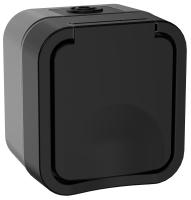 купить TORS Розетка 1-я с з/к кр. 16А IP55 TS120 графит IEK в Чебоксарах TORS Розетка 1-я с з/к кр. 16А IP55 TS120 графит IEK