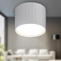 купить Светильник даунлайт 1*12Вт GX53 цилиндр белый накладной ЭРА  в Чебоксарах Светильник даунлайт 1*12Вт GX53 цилиндр белый накладной ЭРА