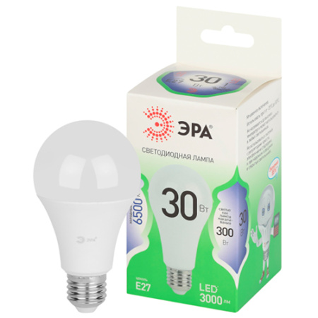 Лампа светодиодная 220В Е27 30Вт 6500К 3000лм стандарт A65 матовая ЭРА Green Line