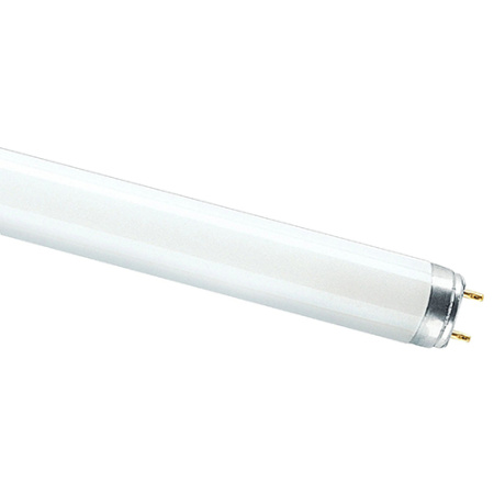 купить Лампа люм G13 Т8 36Вт 4000К 2850лм Osram  в Чебоксарах Лампа люм G13 Т8 36Вт 4000К 2850лм Osram